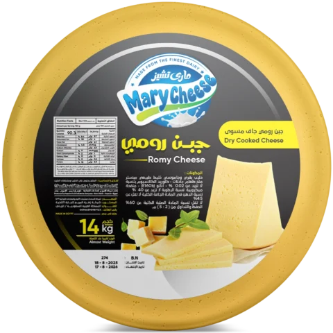 قرص جبنة رومي